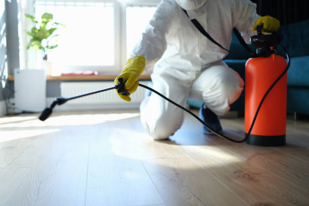 Best Pest Prevention Services  in Nellis Af, NV